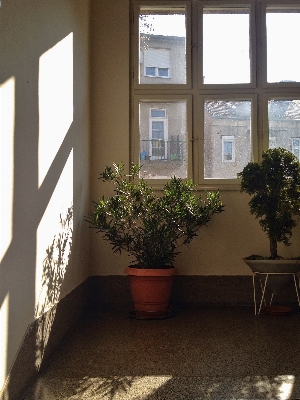 Wood house floor window Photo