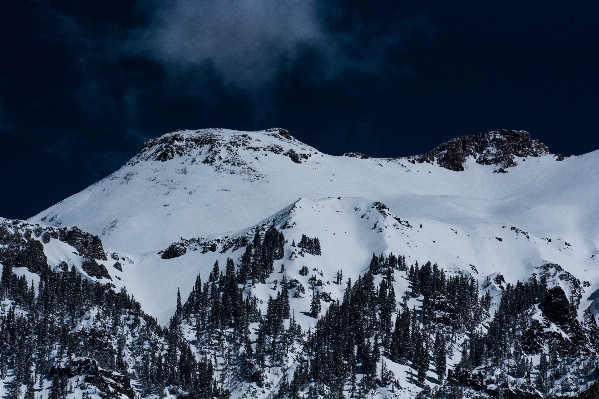 Forest mountain snow winter Photo