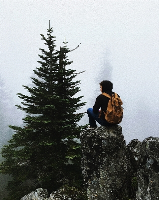 Foto Uomo albero natura selvaggia
 montagna