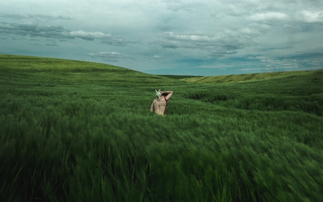 Man landscape nature grass Photo