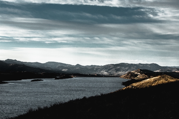 Landscape sea coast tree Photo