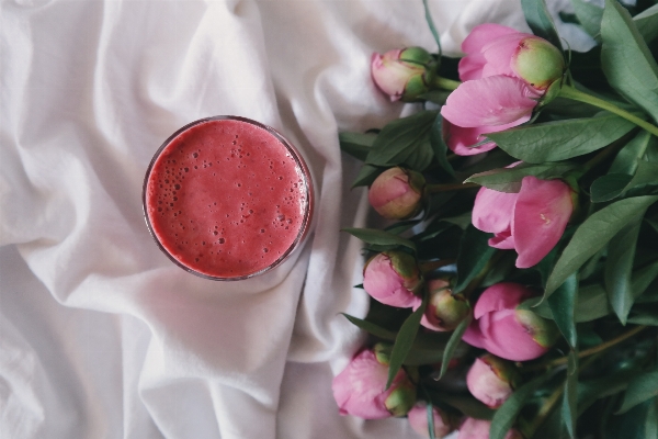 Plant flower petal food Photo