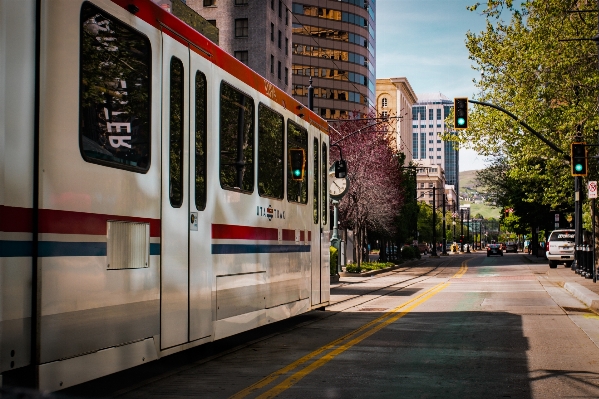 Tree road street downtown Photo