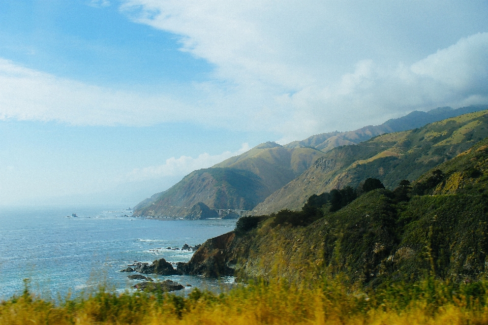 風景 海 海岸 自然