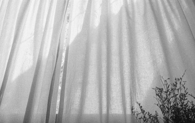 Black and white curtain monochrome Photo