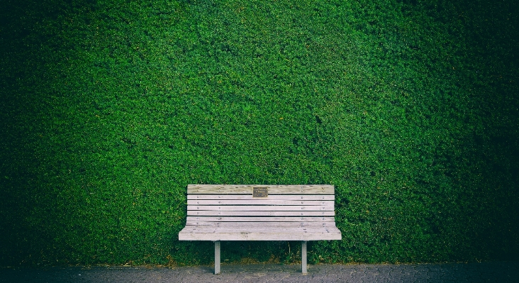 Zdjęcie Trawa na wolnym powietrzu światło ławka