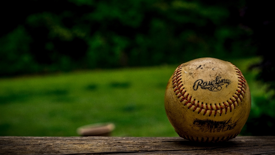 Grass baseball green close up