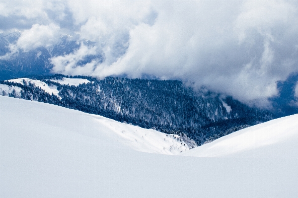 Photo Arbre montagne neige hiver