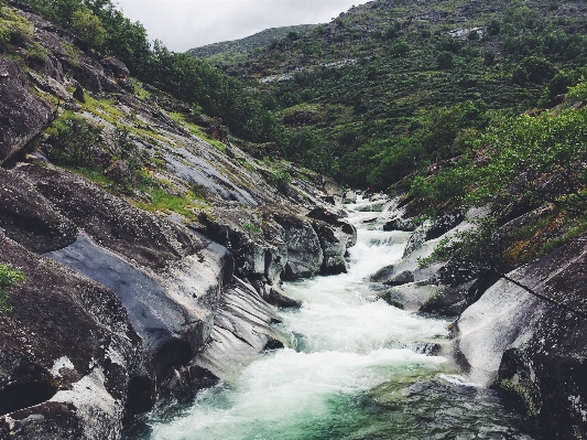 Tree water rock waterfall Photo