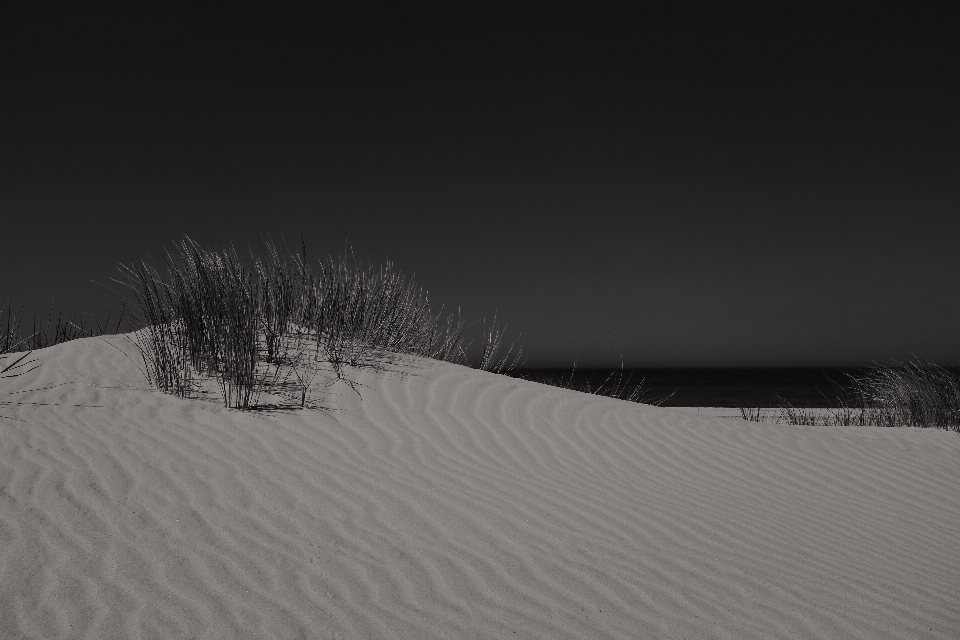 Beach sea sand snow