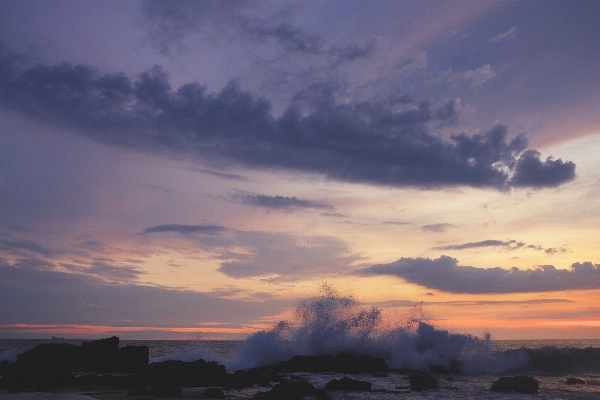 Beach sea coast ocean Photo