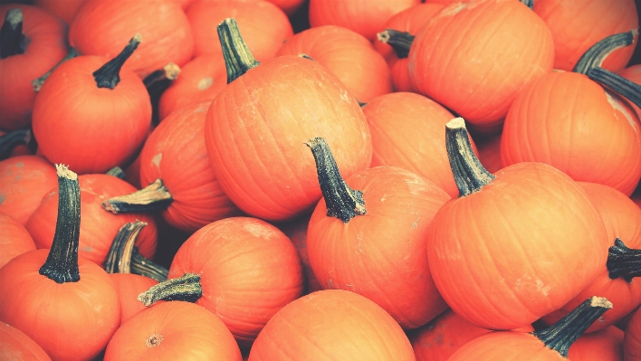 Plant fruit fall orange Photo