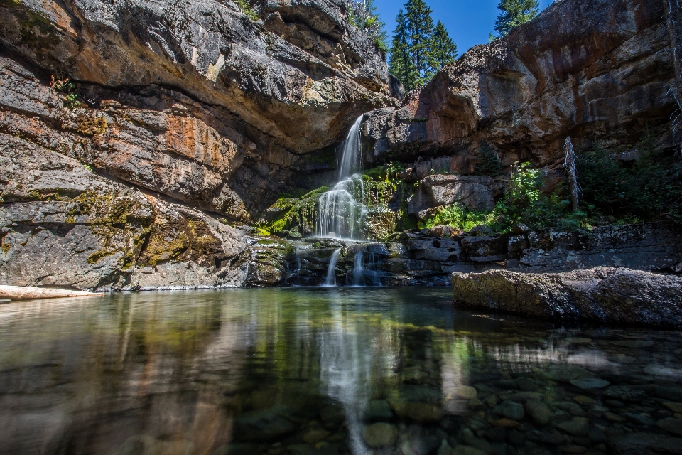 Albero acqua rock cascata