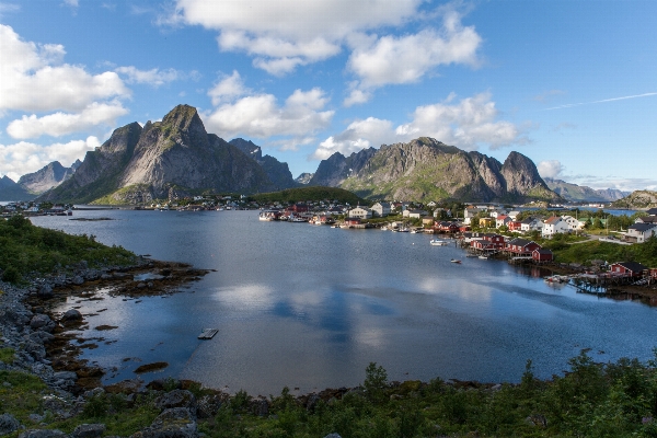 景观 海 海岸 树 照片