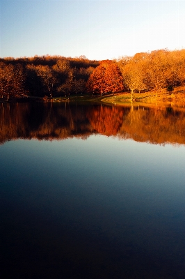 Landscape tree water nature Photo