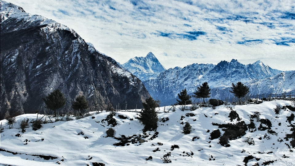 木 山 雪 寒い