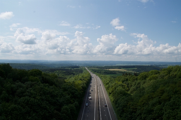 Landscape sea coast forest Photo