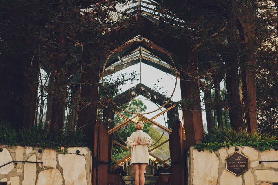 Tree sky glass chapel