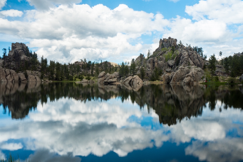 Landschaft meer baum wasser