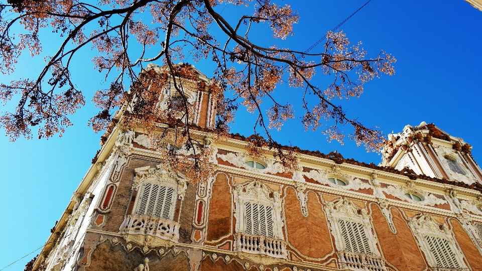 Tree architecture building landmark