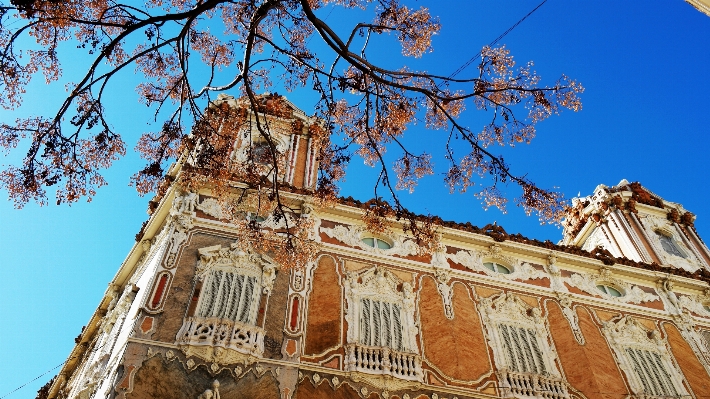 Foto árbol arquitectura edificio punto de referencia