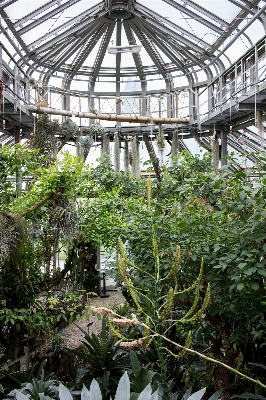 花 道具 植物学
 公園 写真