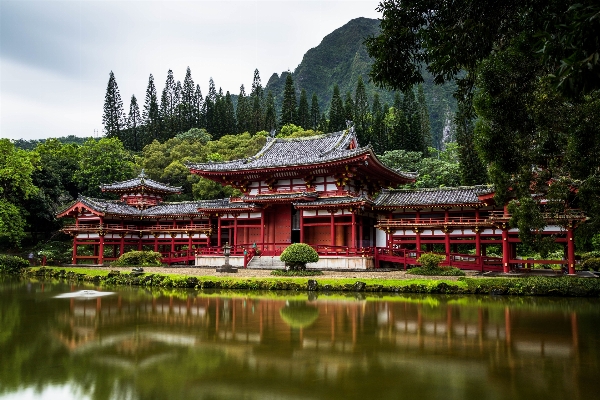 Tree architecture flower palace Photo