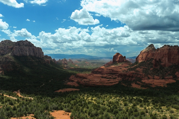 Landscape tree rock wilderness Photo