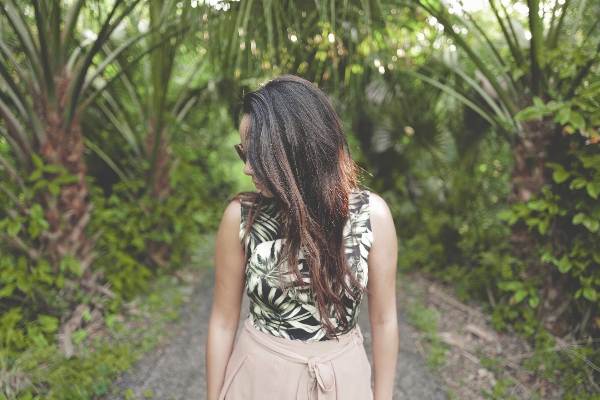 Tree nature forest path Photo