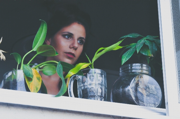 Foto Persona planta mujer ventana