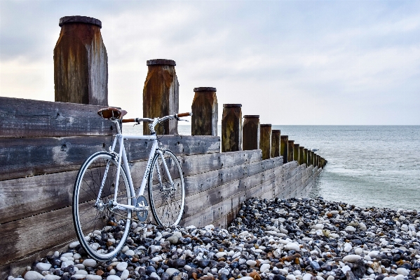 Beach sea coast water Photo