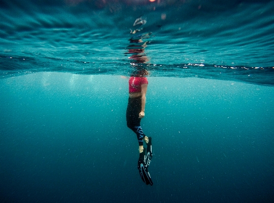 Sea water ocean person Photo