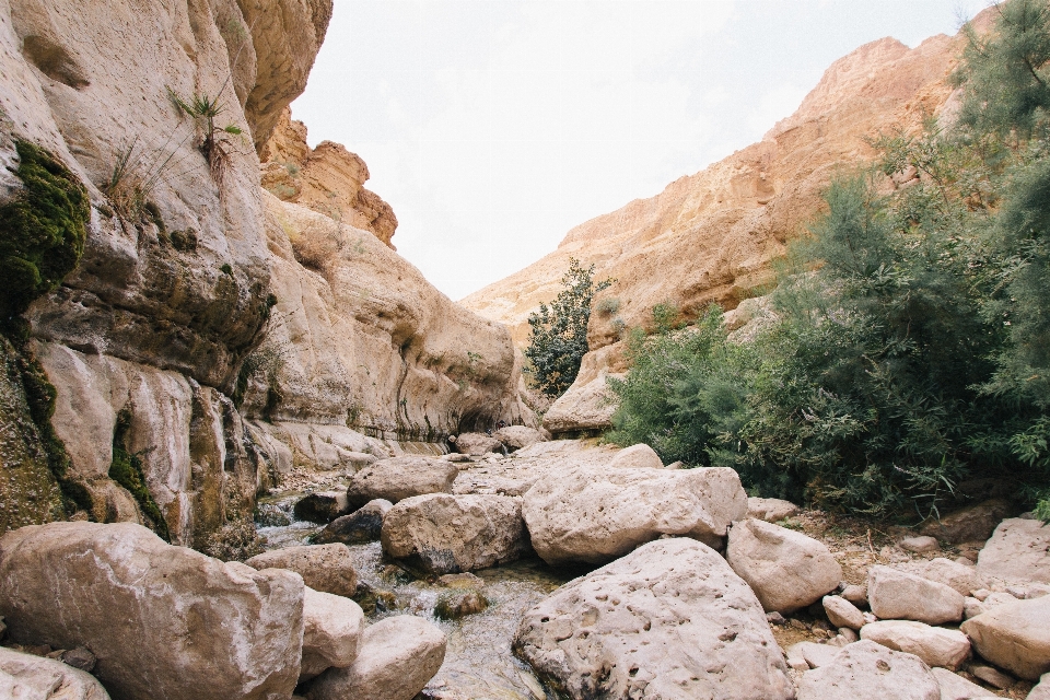 Paysage arbre eau rock