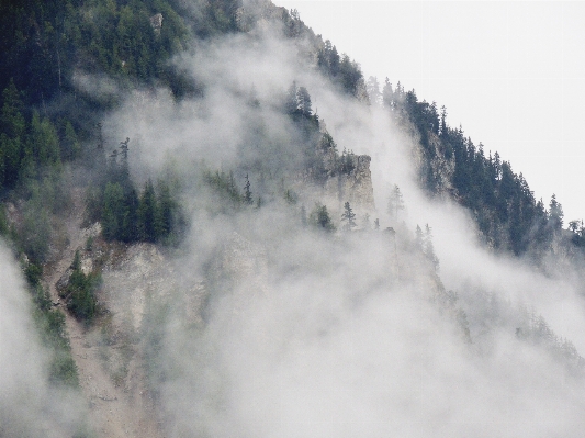 Photo Nature forêt rock montagne