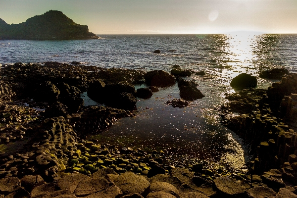 Beach sea coast water Photo