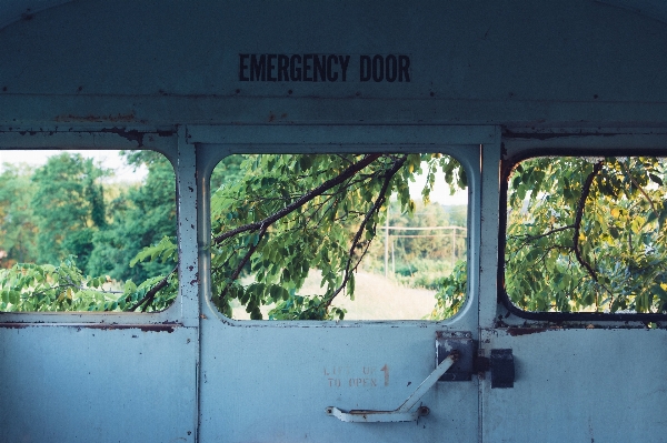 Tree window old transport Photo