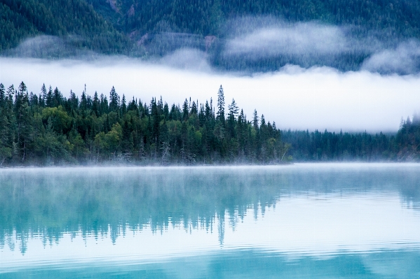 Landscape tree water nature Photo