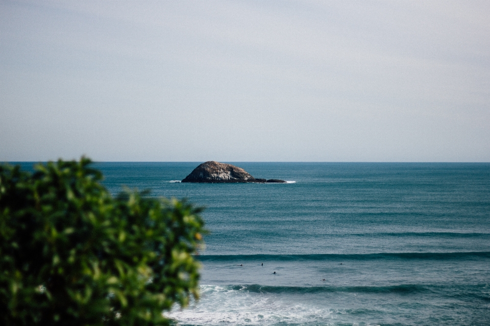 海滩 海 海岸 rock