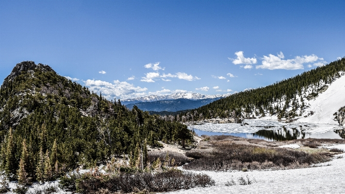 Landscape tree wilderness mountain Photo