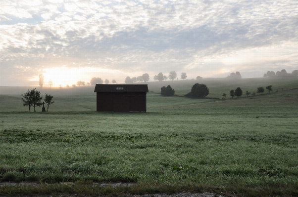 Landscape tree grass horizon Photo