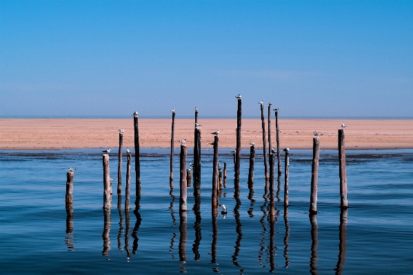 Beach sea coast water Photo