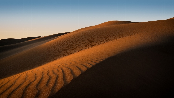 Landscape sand arid desert Photo