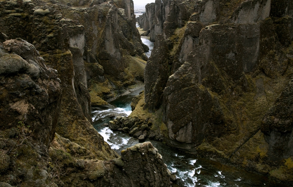 Baum wasser natur rock