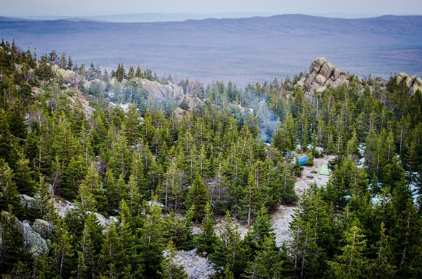 Landscape tree forest rock Photo