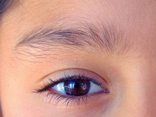 Blue eyebrow eyelash close up Photo