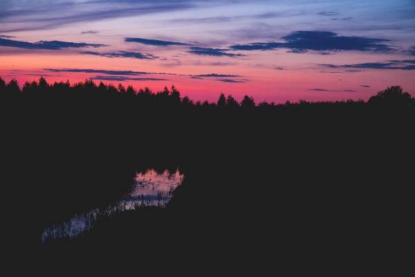 Forest horizon cloud sky Photo