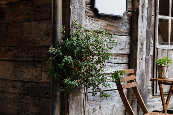 Table tree wood street Photo