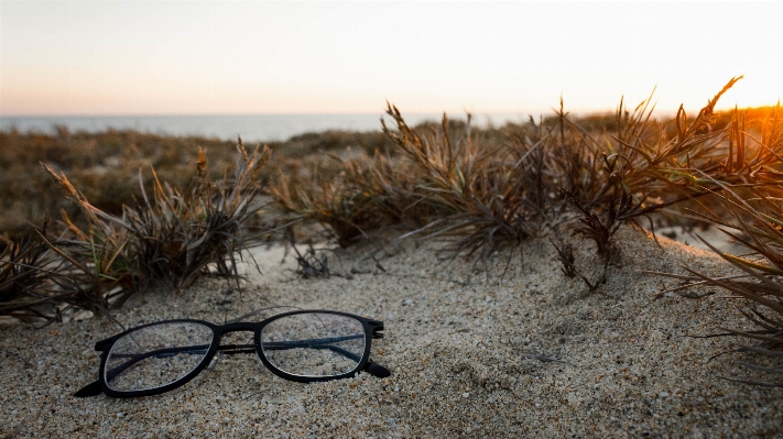 Beach grass sand ocean Photo