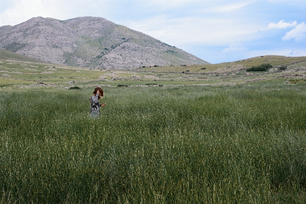 Landscape grass wilderness walking Photo