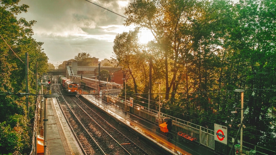 ścieżka poranek pejzaż miejski transport